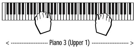 PEAVEY WK880 - SELECTIONNEZ ET ESSAYEZ LES SONS DE LA BANQUE 1 (GM) - 3