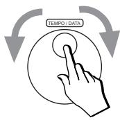 PEAVEY WK880 - NOTES PRELIMINAIES - 2