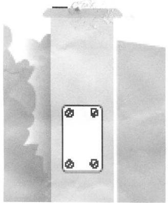 SENTINEL SCS KIT PRO 900 - 3 - 1