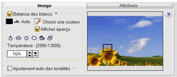 ULEAD VIDEOSTUDIO 11 - Pour ajuster la balance des blancs : - 1