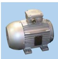 UNELVENT VENTILATEUR AXIAL TUBULAIRE DESENFUMAGE THGT - \section*{Caracteristiques générales} - 3