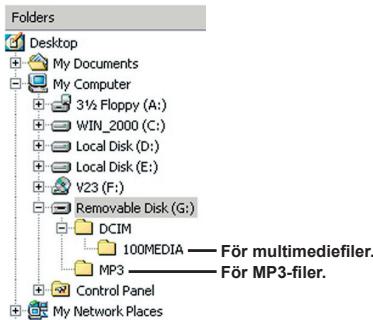 AIPTEK POCKET DV T100 - Filplacering - 1