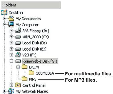 AIPTEK POCKET DV T300 LE - File location - 1
