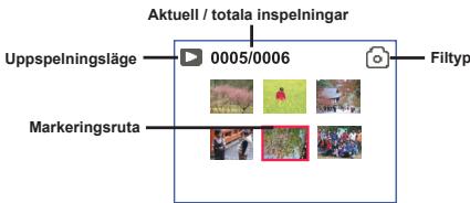 AIPTEK POCKET DV T300 LE - Uppspelningslage tumnaglar: - 1