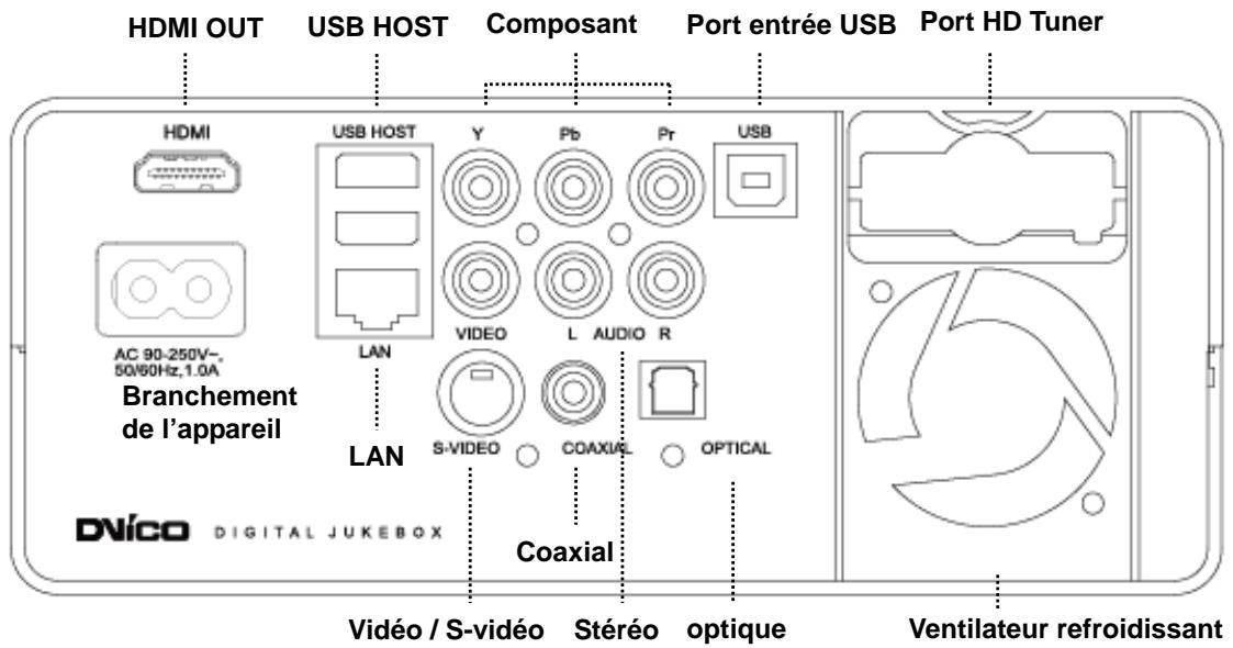 DVICO TVIX HD M-6500A - Connexion des câbles - 1
