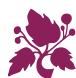 VINILUX WINEYARD 200 - Quels sont les avantages de la cave Vinilux 200 ? - 1