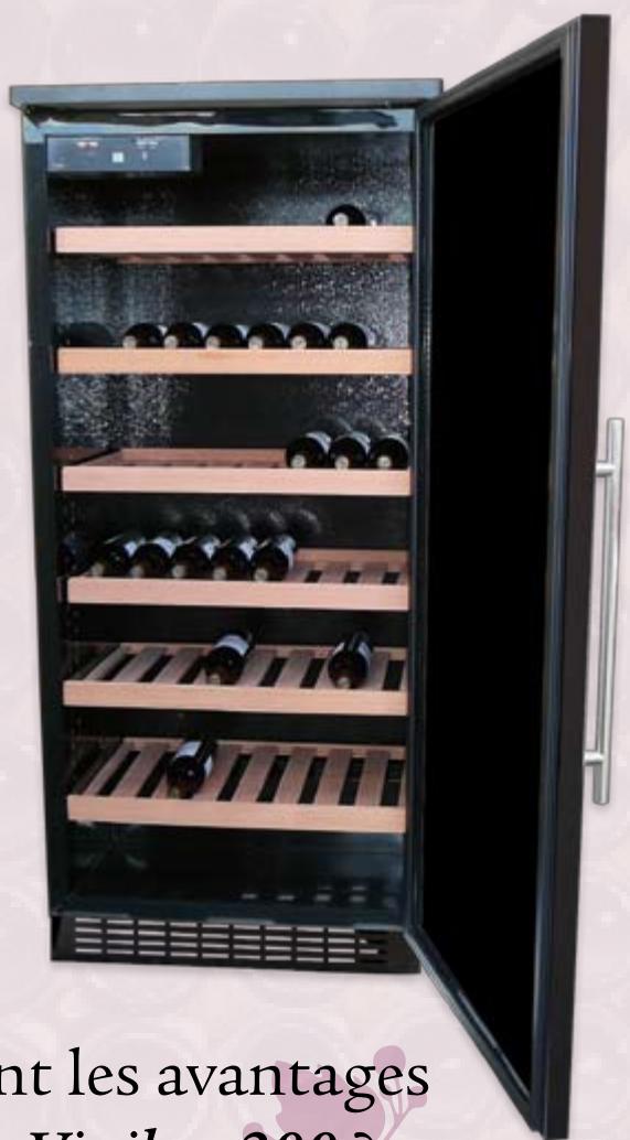 VINILUX WINEYARD 200 - De l'espace pour votre vin .. - 2