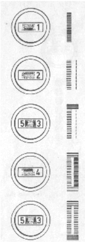 NECCHI 544 - BOUTONNIERES : - 2
