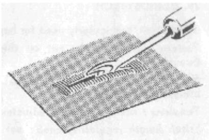 NECCHI 544 - BOUTONNIERES : - 3