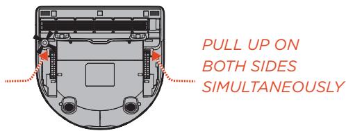 NEATO D303 / BOTVAC D3 CONNECTE - Brushes - 1