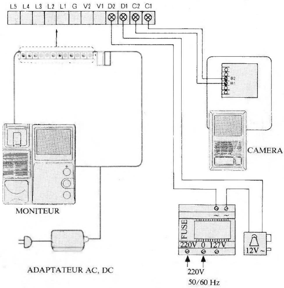 EXTEL 881 - Raccordement - 1