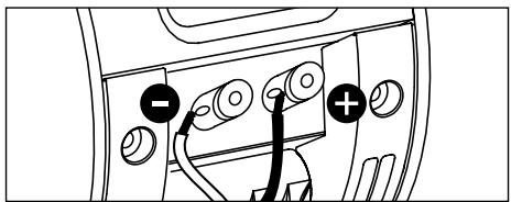 FOCAL CUB 3 - Connexion - 2