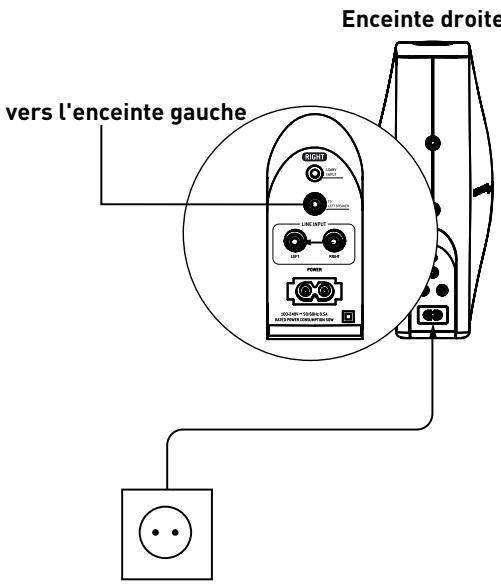 FOCAL XS BOOK WIRELESS - FOCAL XS BOOK WIRELESS - 1