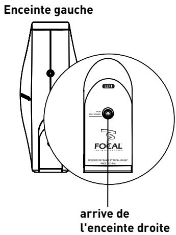 FOCAL XS BOOK WIRELESS - FOCAL XS BOOK WIRELESS - 2