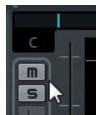 STEINBERG CUBASE 6 - Mute e Solo - 1