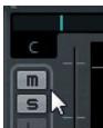STEINBERG CUBASE 6 - Muet et solo - 1