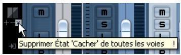 STEINBERG CUBASE STUDIO 4 - Choisir de cacher ou d'afficher des voies séparées (réglage "àchner") - 2
