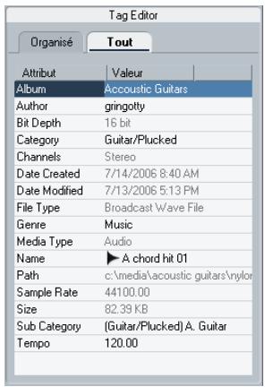 STEINBERG CUBASE STUDIO 4 - L'éditeur de tag (cubase uniquement) - 1