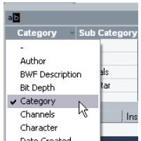 STEINBERG CUBASE STUDIO 4 - Gestion des listes de tags (cubase uniquement) - 1