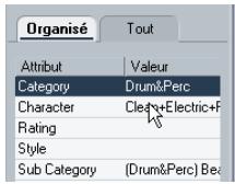 STEINBERG CUBASE STUDIO 4 - Gestion des listes de tags (cubase uniquement) - 3