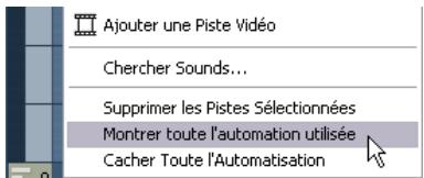 STEINBERG CUBASE STUDIO 4 - Afficher uniquement les pistes d'automatisation utilisées - 1