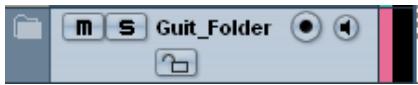 STEINBERG CUBASE STUDIO 4 - Masquer/afficher des pistes dans un dossier - 1