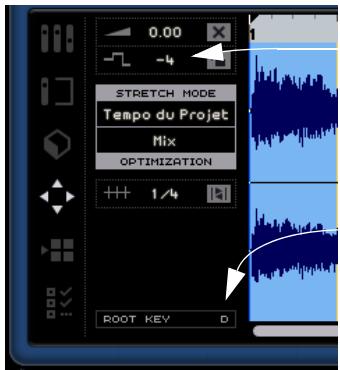 STEINBERG SEQUEL - La transposition "intelligente - 4