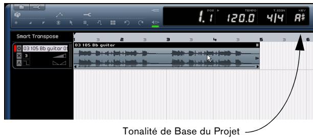 STEINBERG SEQUEL - La transposition "intelligente - 2