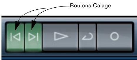 STEINBERG SEQUEL - Les boutons calage - 1