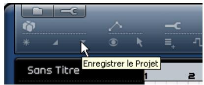 STEINBERG SEQUEL - Enregistrer un projet - 1