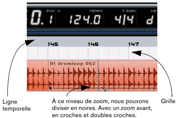 STEINBERG SEQUEL - Ligne temporelle et grille - 1