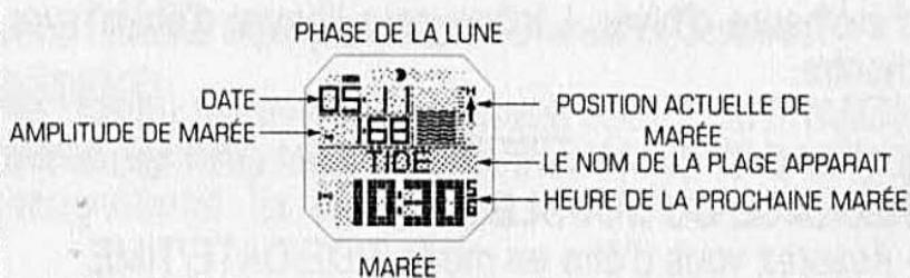 RIP CURL MONTRE - Mode MAREE (avec prédiction desmarées a VENIR) - 1