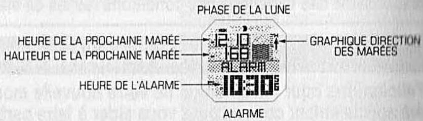 RIP CURL MONTRE - Mode ALARME - 2