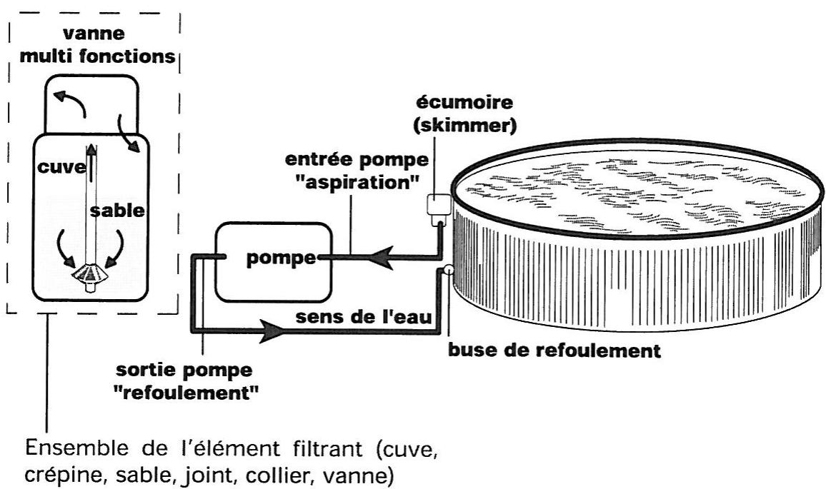 ZODIAC 166 AMSP - Schéma de circulation de l'eau en n'utilisant que la pompe (pour entretien ponctuel) - 1