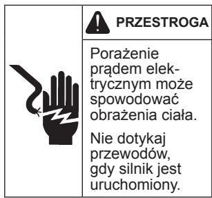 KOHLER CH 260 - Środki ostrożnosci - 5