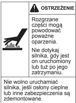 KOHLER CH 270 - Środki ostrożnosci - 6