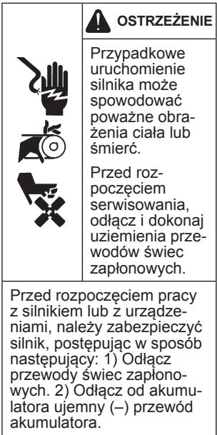 KOHLER CH 440 - Środki ostrożnosci - 3