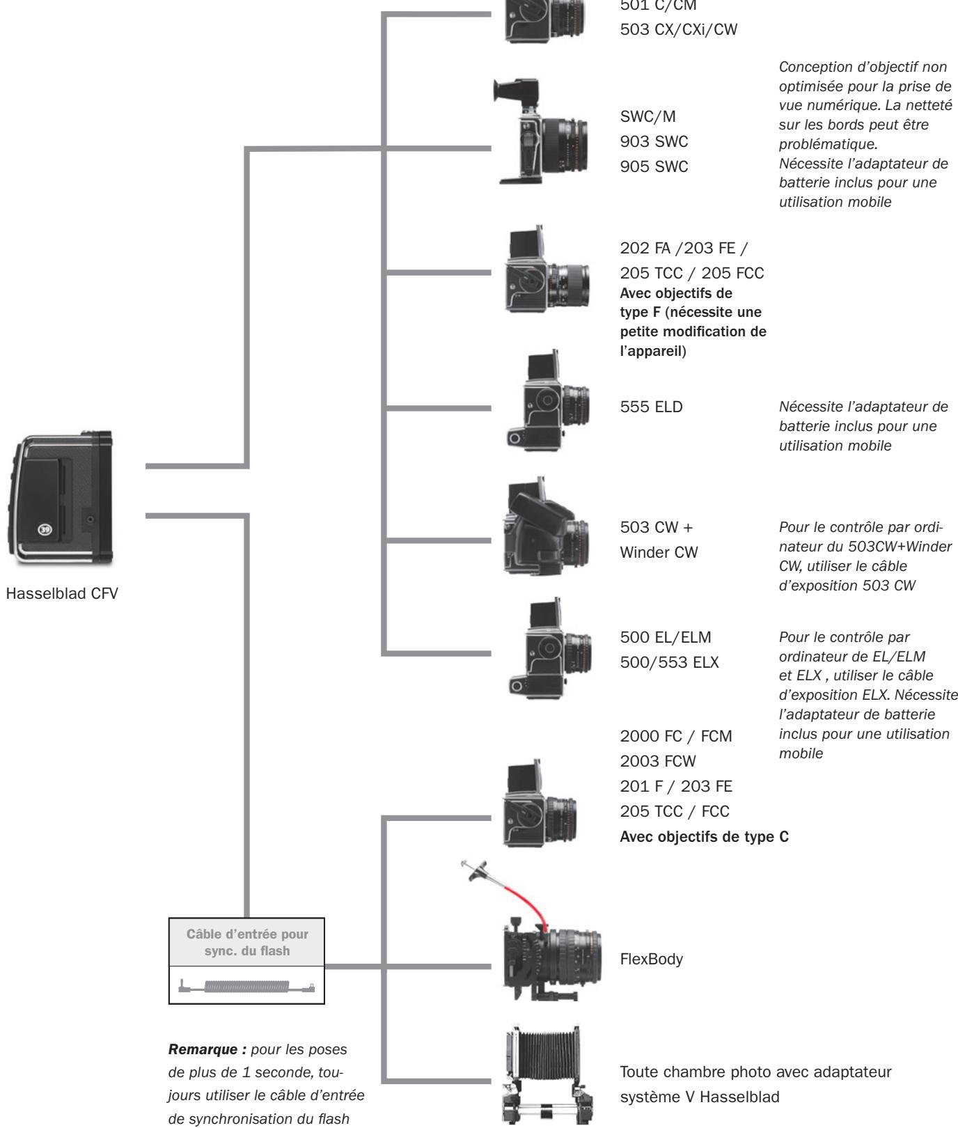 HASSELBLAD CFV 39 - HAsseLBlAD CFV③ - 1