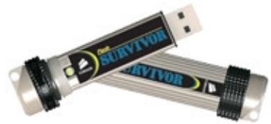 CORSAIR FLASH SURVIVOR - Corsair Flash Survivor - Lecteur flash USB - 16 Go - Hi-Speed USB - 1