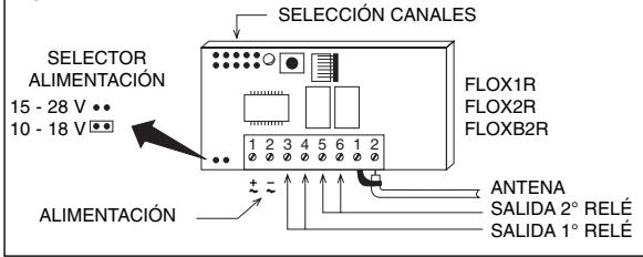 NICE FLOXI2R - Receptores con bornes: - 1