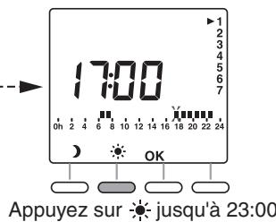 ROTHELEC ECO-ELECTRIQUE R2012G - Validator et copier le programme pour le jour suivant - 6