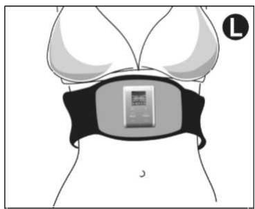 AB TRONIC X2 - AbTronicX2 Dual Channel Fitness Belt – Exercices avec la grande ceinture - 1