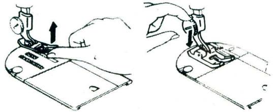 MERRITT 158 - Selection de I'aiguille et du fil - 9