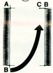 MERRITT 159 - BOUTONNIERES (157-158) - 3