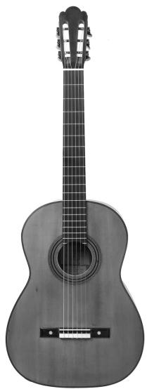 LINE 6 VARIAX ACOUSTIC 300 - MIC - 2