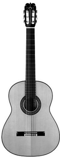 LINE 6 VARIAX ACOUSTIC 300 - MIC - 1