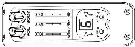 LINE 6 VARIAX ACOUSTIC 300 - VERB - 1