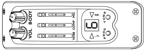 LINE 6 VARIAX ACOUSTIC 300 - VERB - 1