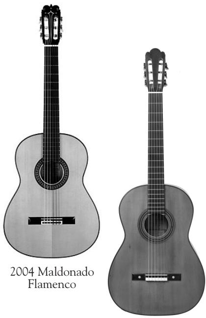 LINE 6 VARIAX ACOUSTIC 300 - MIC - 1