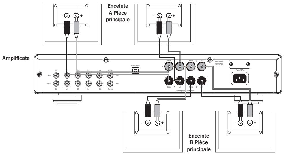 CAMBRIDGE AUDIO 351A - Raccordements de l'enceinte b - 1